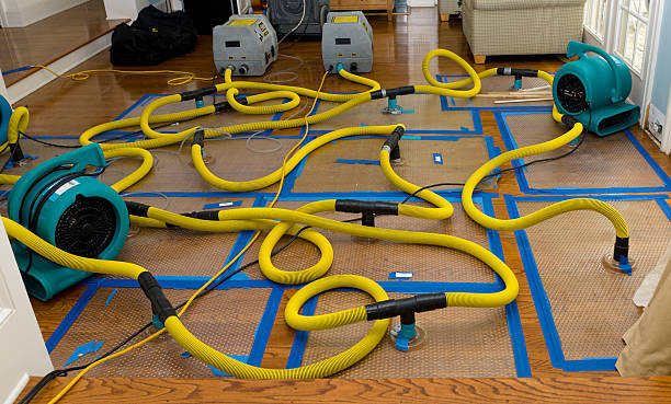 Professional Basement Flood Cleanup technician working in Eau Galle, WI